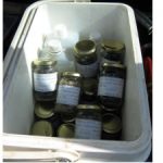 Soil-Survey-in-the-Kishon-Park-300x225